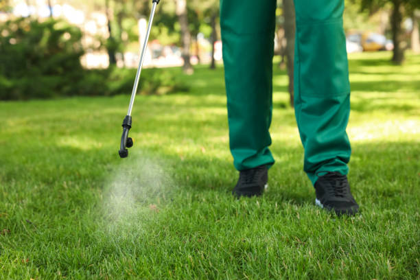 Best Spider Control Near Me  in Fair Oaks Ranch, TX