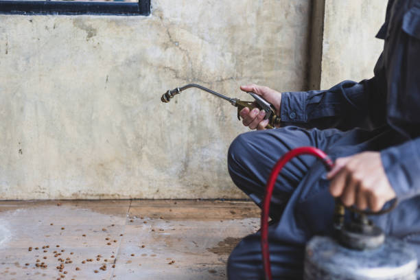 Reliable Fair Oaks Ranch, TX Pest Control Solutions