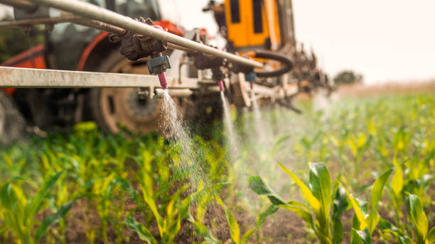 Best Ant Control Services  in Fair Oaks Ranch, TX